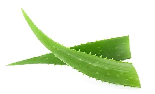 Rand Fungeent Rand enthält Aloe Vera
